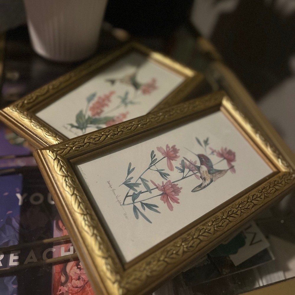 Carolyn Shores Wright Hummingbird Print